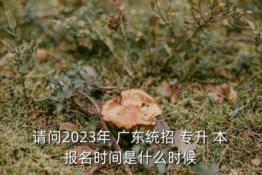 請問2023年 廣東統(tǒng)招 專升 本報名時間是什么時候