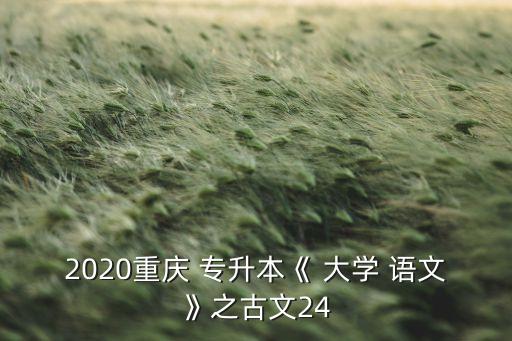 2020重慶 專升本《 大學(xué) 語文》之古文24