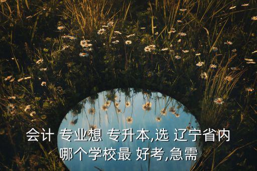 會計 專業(yè)想 專升本,選 遼寧省內哪個學校最 好考,急需