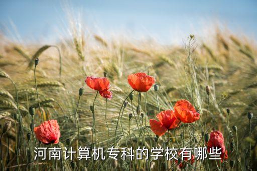 河南計(jì)算機(jī)專(zhuān)科的學(xué)校有哪些