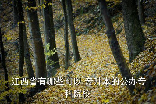  江西省有哪些可以 專升本的公辦專科院校