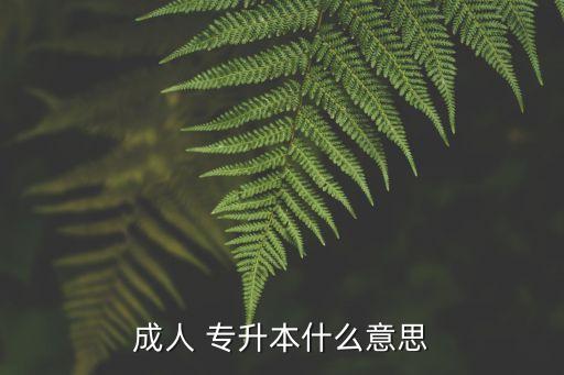 成人 專(zhuān)升本什么意思