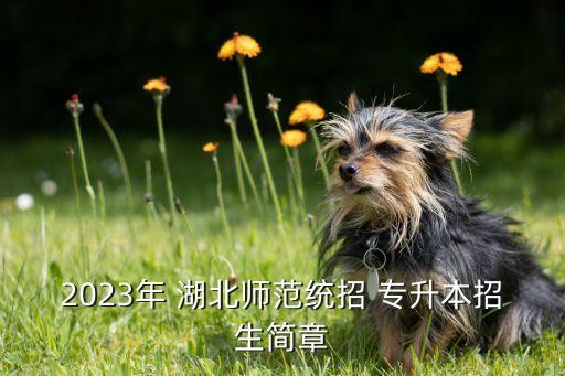 2023年 湖北師范統(tǒng)招 專(zhuān)升本招生簡(jiǎn)章