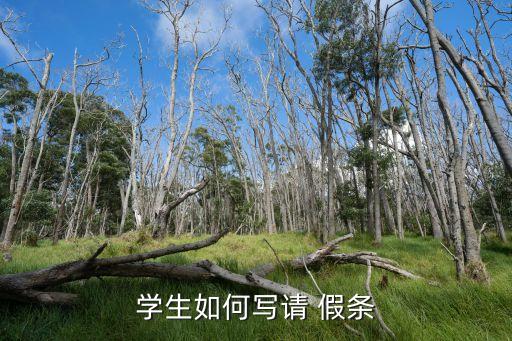 學(xué)生如何寫請 假條