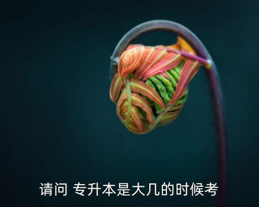 請(qǐng)問 專升本是大幾的時(shí)候考