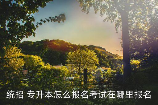 統(tǒng)招 專升本怎么報名考試在哪里報名