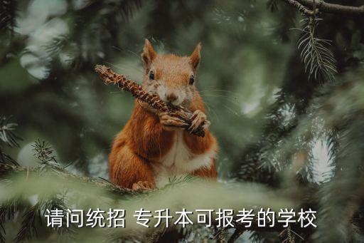 請(qǐng)問統(tǒng)招 專升本可報(bào)考的學(xué)校