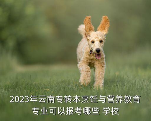 2023年云南專轉(zhuǎn)本烹飪與營養(yǎng)教育專業(yè)可以報考哪些 學(xué)校