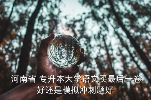  河南省 專升本大學(xué)語文買最后一卷好還是模擬沖刺題好