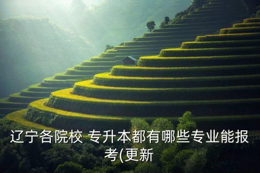 遼寧各院校 專升本都有哪些專業(yè)能報考(更新