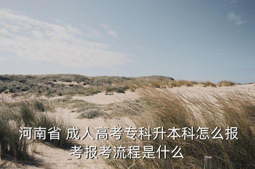  河南省 成人高考專科升本科怎么報考報考流程是什么