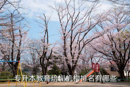  專(zhuān)升本教育培訓(xùn)機(jī)構(gòu)排名有哪些