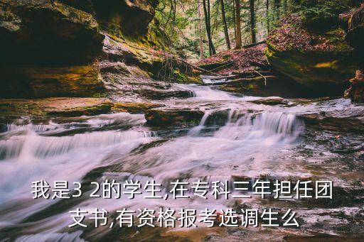 我是3 2的學(xué)生,在?？迫険?dān)任團(tuán) 支書(shū),有資格報(bào)考選調(diào)生么