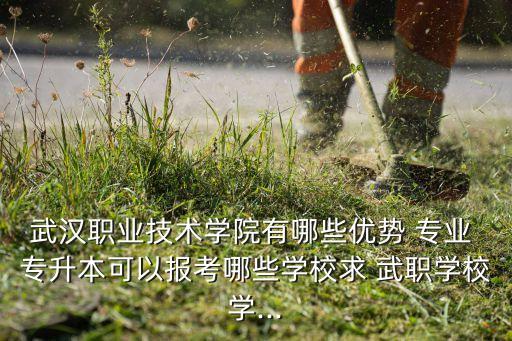 武漢職業(yè)技術(shù)學(xué)院有哪些優(yōu)勢 專業(yè) 專升本可以報考哪些學(xué)校求 武職學(xué)校學(xué)...