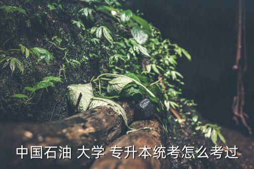 中國(guó)石油 大學(xué) 專升本統(tǒng)考怎么考過