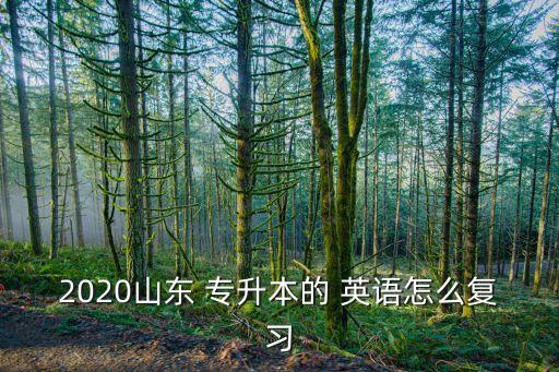 2020山東 專升本的 英語怎么復習