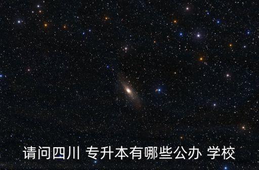 請問四川 專升本有哪些公辦 學(xué)校
