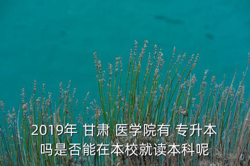 2019年 甘肅 醫(yī)學院有 專升本嗎是否能在本校就讀本科呢