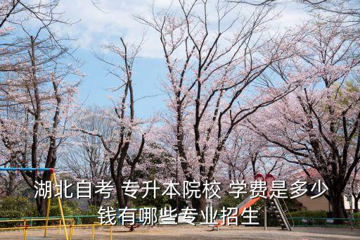  湖北自考 專升本院校 學(xué)費(fèi)是多少錢有哪些專業(yè)招生