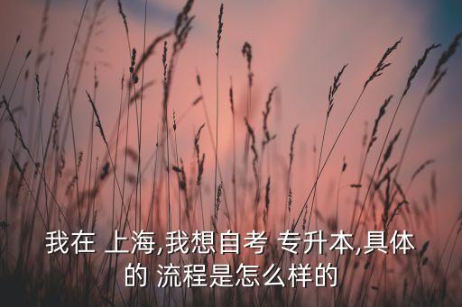 上海二工大全日制專(zhuān)升本流程