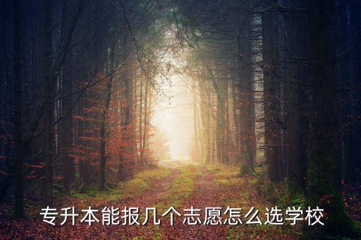  專升本能報(bào)幾個(gè)志愿怎么選學(xué)校