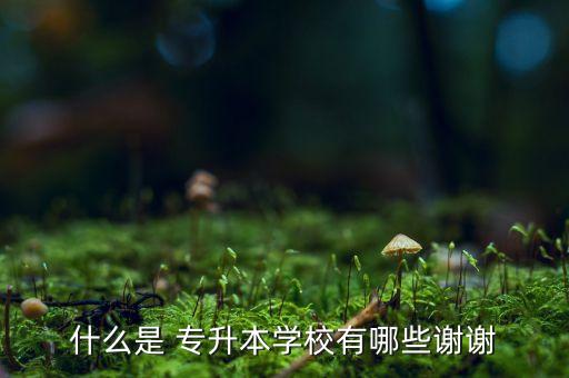 什么是 專升本學校有哪些謝謝