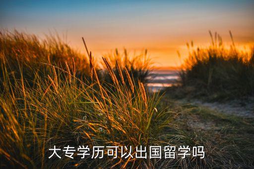 大專學(xué)歷可以出國留學(xué)嗎