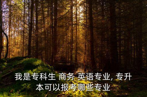 商務(wù)英語(yǔ)專(zhuān)升本有用嗎,河南商務(wù)英語(yǔ)專(zhuān)升本學(xué)校有哪些