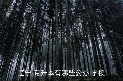 遼寧 專升本有哪些公辦 學校