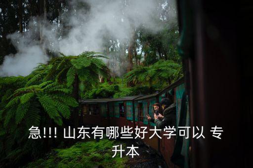 2018年山東校內(nèi)專(zhuān)升本學(xué)校