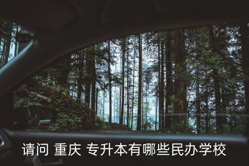重慶專(zhuān)升本的學(xué)院