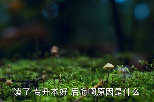 讀專升本后悔了,有沒有人因為讀了專升本而后悔的?