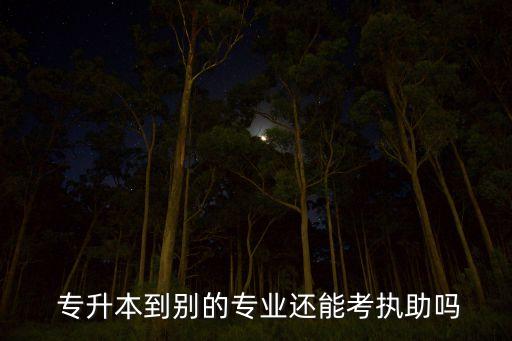  專升本到別的專業(yè)還能考執(zhí)助嗎