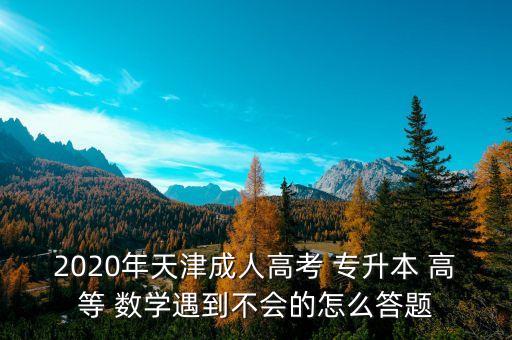 2020年天津成人高考 專升本 高等 數(shù)學(xué)遇到不會(huì)的怎么答題