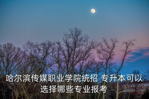 哈爾濱傳媒職業(yè)學(xué)院統(tǒng)招 專升本可以選擇哪些專業(yè)報(bào)考