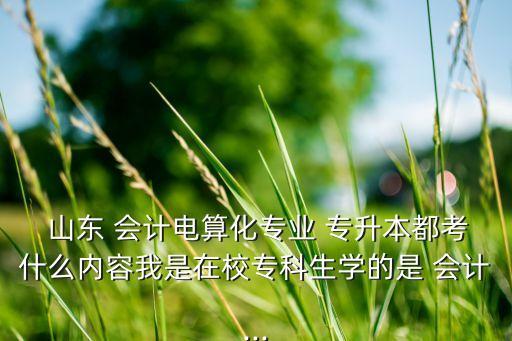  山東 會計電算化專業(yè) 專升本都考什么內(nèi)容我是在校?？粕鷮W的是 會計...
