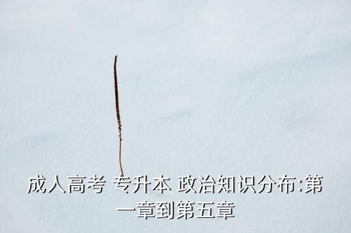 成人高考 專升本 政治知識分布:第一章到第五章