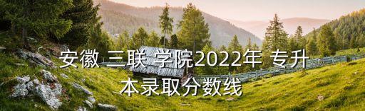  安徽 三聯(lián) 學(xué)院2022年 專升本錄取分?jǐn)?shù)線