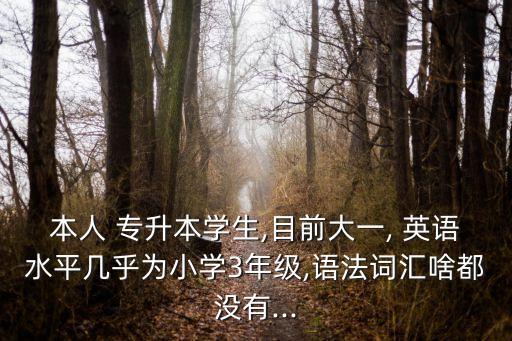 本人 專升本學生,目前大一, 英語水平幾乎為小學3年級,語法詞匯啥都沒有...