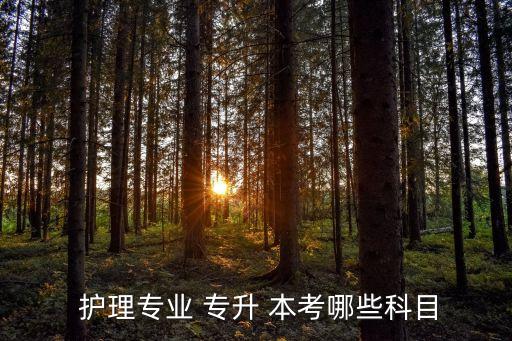  護理專業(yè) 專升 本考哪些科目