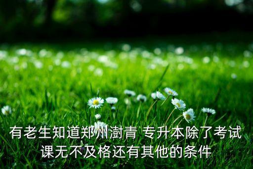有老生知道鄭州澍青 專(zhuān)升本除了考試課無(wú)不及格還有其他的條件