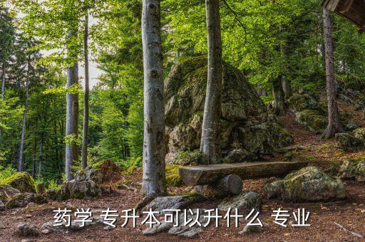 藥學(xué) 專升本可以升什么 專業(yè)