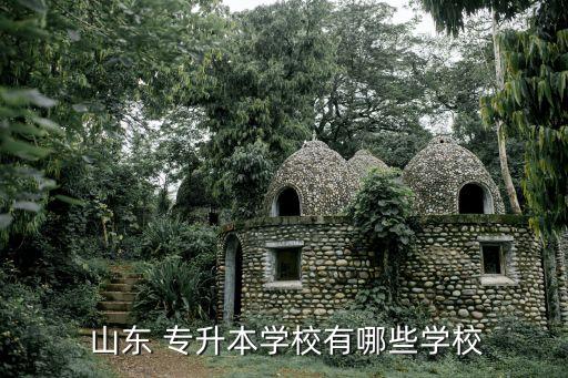  山東 專升本學校有哪些學校