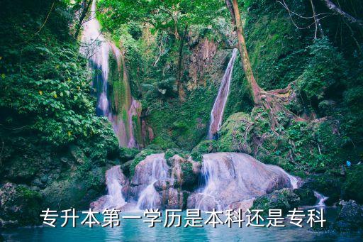  專升本第一學(xué)歷是本科還是?？? class=