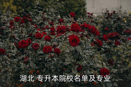 武漢機械設(shè)計專升本,機械設(shè)計制造及其自動化專升本學(xué)校
