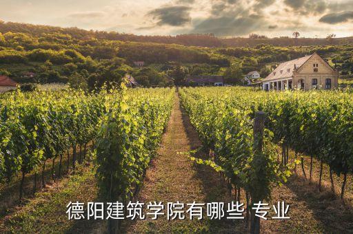  德陽建筑學(xué)院有哪些 專業(yè)