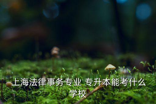 上海政法專升本培訓(xùn)班,上海專升本培訓(xùn)班費用一般多少錢