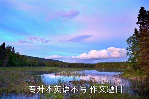  專升本英語不寫 作文題目