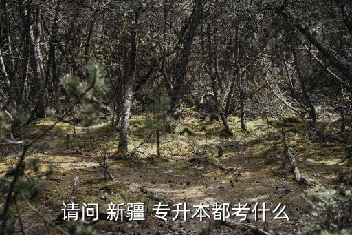 請問 新疆 專升本都考什么