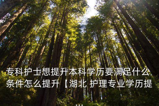 專科護(hù)士想提升本科學(xué)歷要滿足什么 條件怎么提升【湖北 護(hù)理專業(yè)學(xué)歷提...
